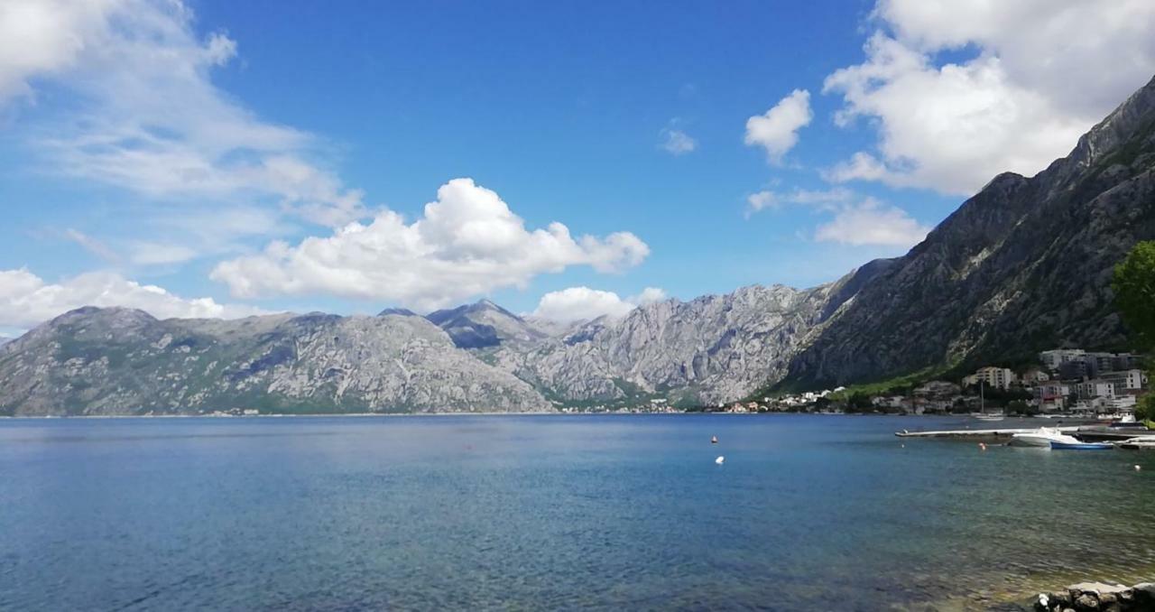 Apartment Radulovic Kotor Eksteriør billede